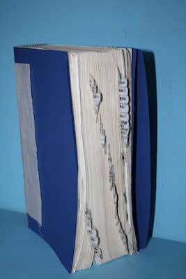 family_bible_repair_1554